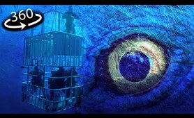 360° VR - TERRIFYING Sea Monsters | CAGE OCEAN HORROR